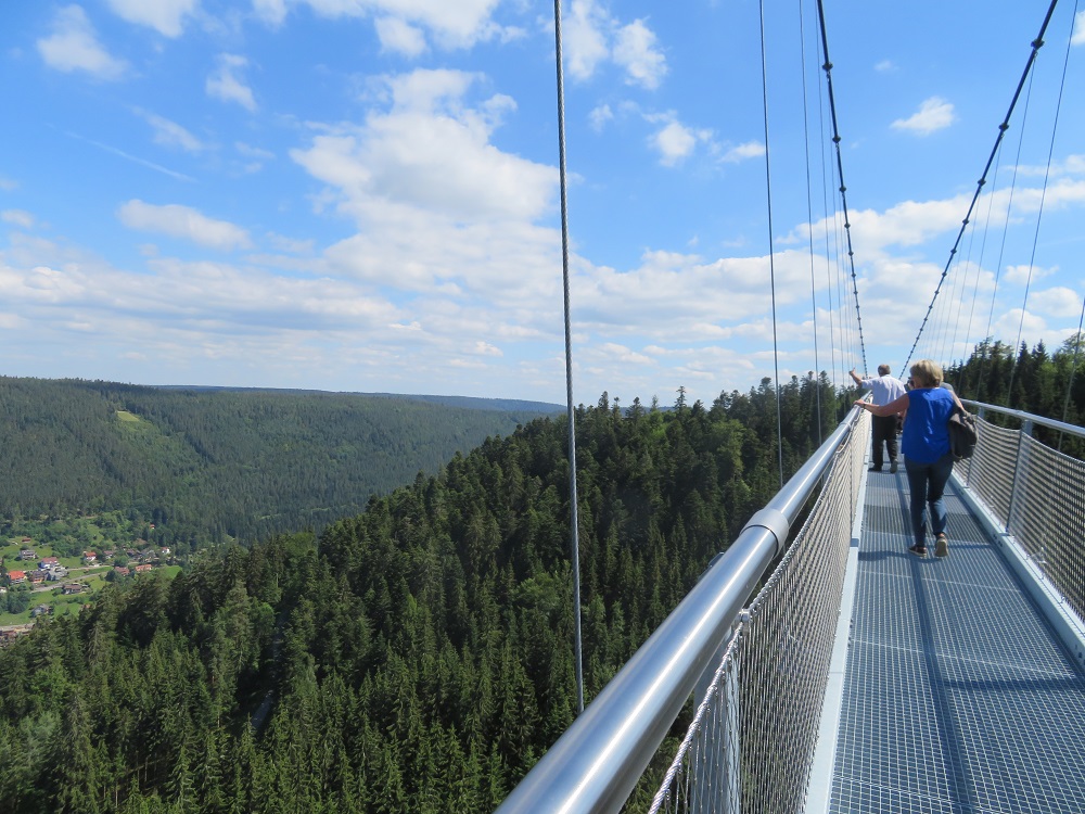 Wildline pedestrian suspension bridge Bad Wildbad
